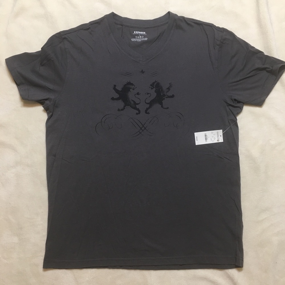 Men’s Express V-neck T-Shirt